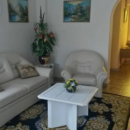 Ezust Fenyo Vendeghaz Гостевой дом Шиофок