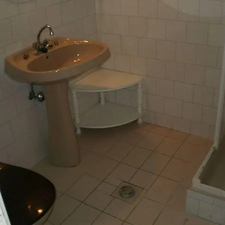 Ezust Fenyo Vendeghaz Gasthof *