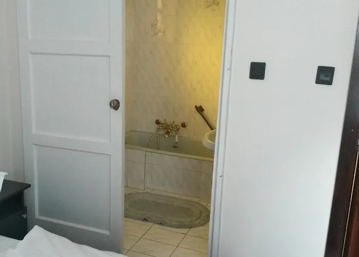 Ezust Fenyo Vendeghaz * Siofok