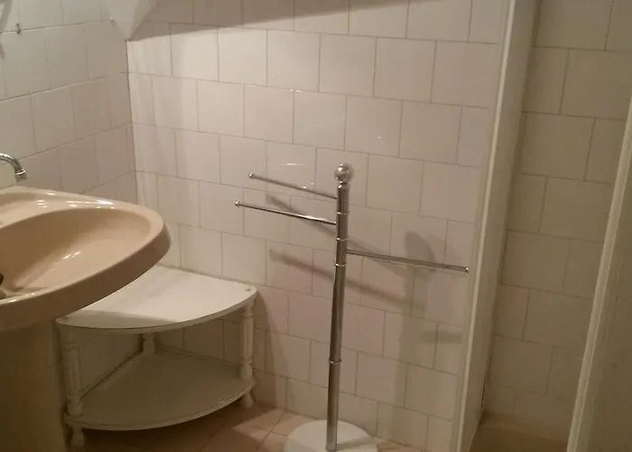 Ezust Fenyo Vendeghaz