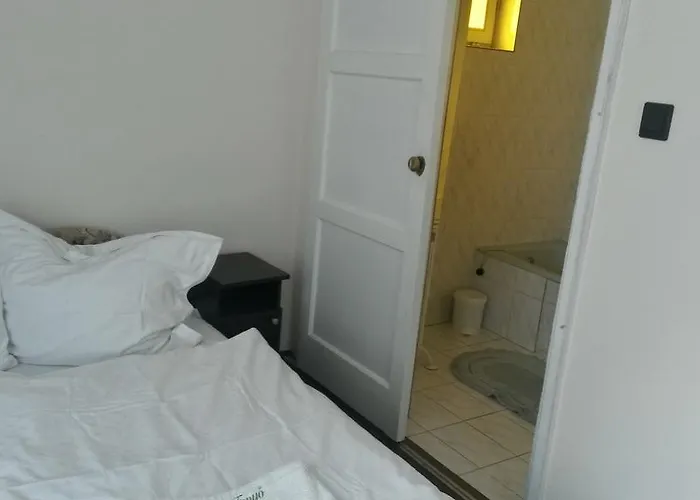 Ezust Fenyo Vendeghaz Pensjonat