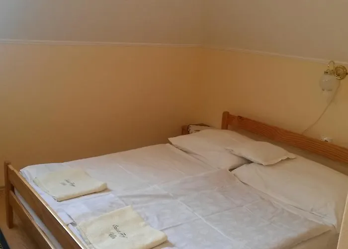 Konukevi Ezust Fenyo Vendeghaz *